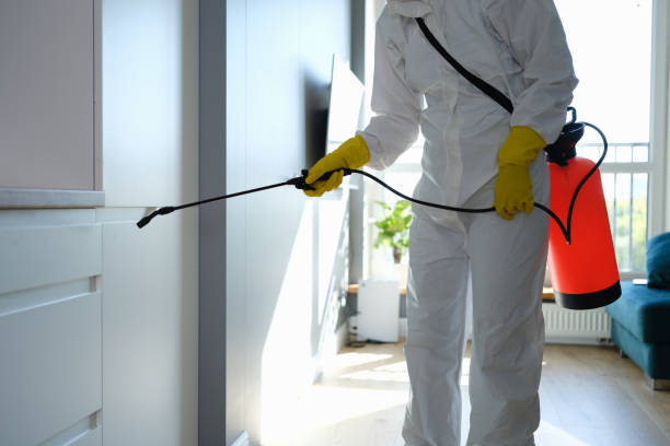 Best Residential Mold Remediation in Hillsboro, OH